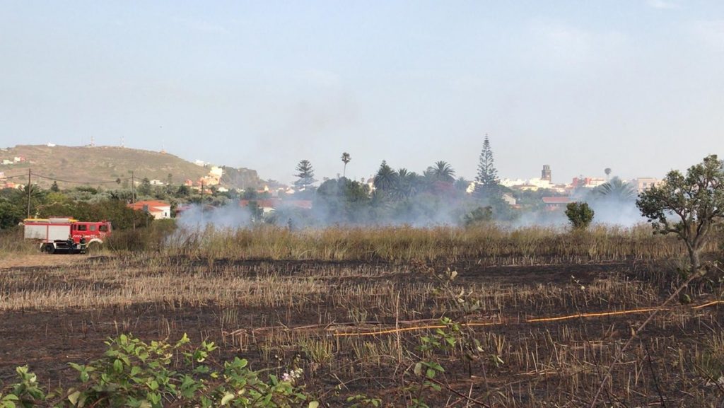 Incendio en la Finca San Diego, en La Laguna| DA