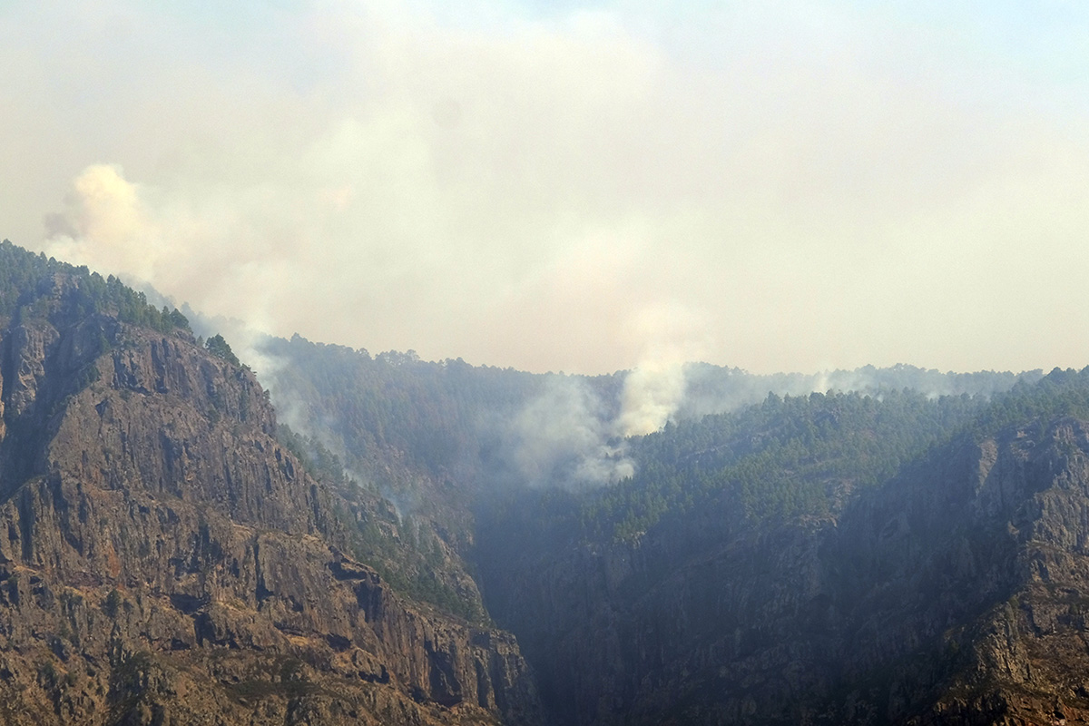 INCENDIO GRAN CANARIA