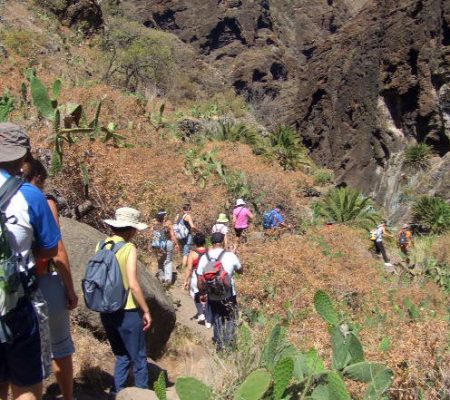 Senderismo en Tenerife: el Cabildo lanza una app pionera con 173 rutas en la Isla