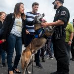Feria animales de compañía Santa Cruz y La Laguna