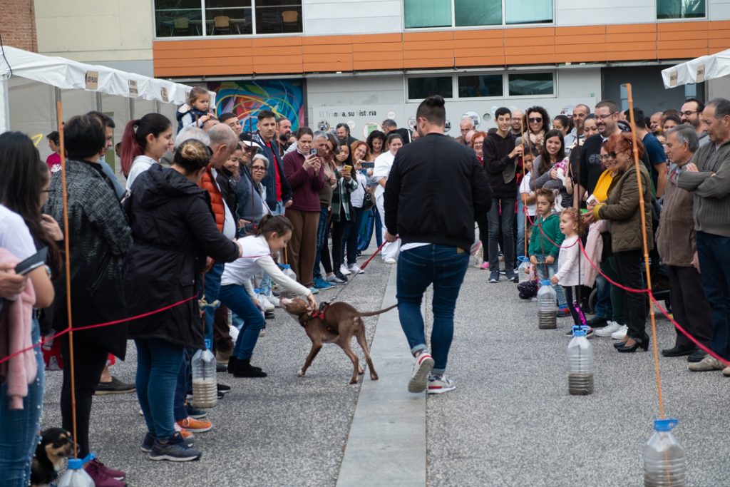 Feria animales de compañía Santa Cruz y La Laguna