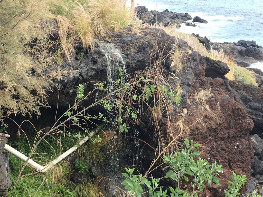 Esta incesante cascada de porquería brota desde el pasado 20 de diciembre. DA