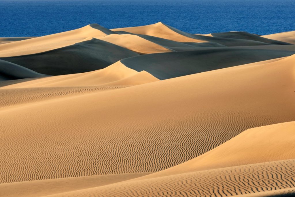 Vista de las Dunas de Maspalomas durante el confinamiento