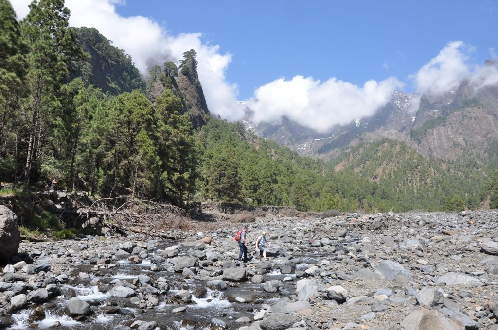 El trazado parte del mirador de Los Brecitos, desembocando en el barranco de Las Angustias. DA