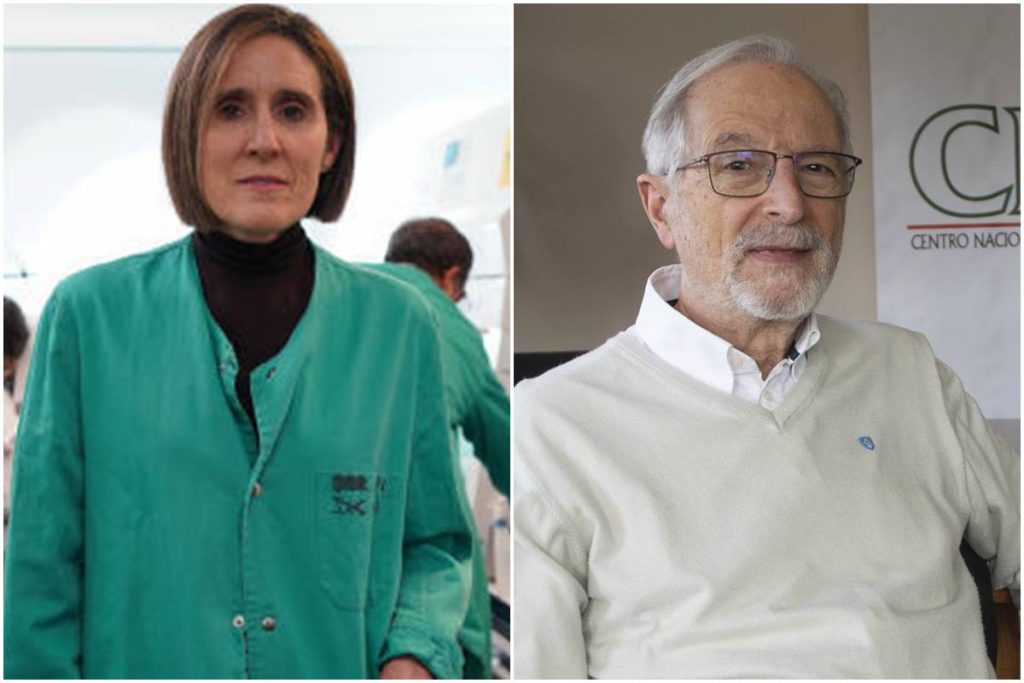 Sola y Enjuanes han trabajado conjuntamente con los Institutos de Salud de Estados Unidos, aunque en este caso lo han hecho con el Mont Sinai de Nueva York. DA