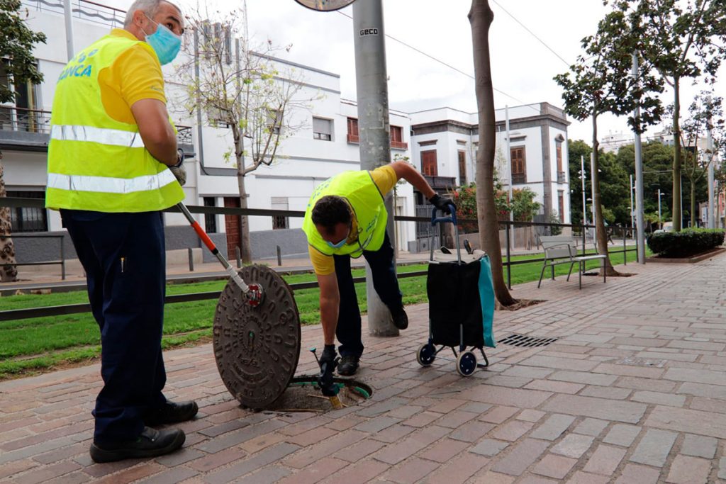 Campaña intensiva para erradicar una plaga de ratas en Rambla Pulido