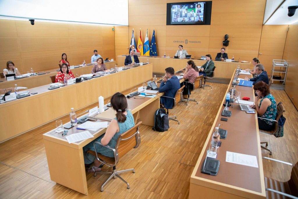 El pleno del Cabildo abordó ayer las situaciones de Ansina y el Cidemat a petición del grupo de CC-PNC. DA