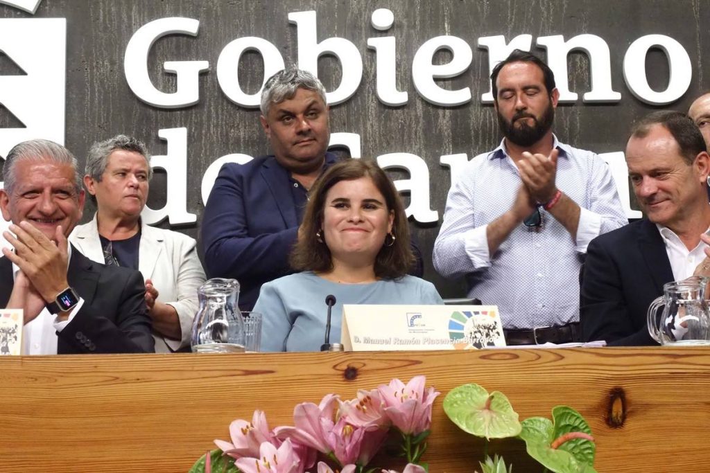 La presidenta de los ayuntamientos canarios, Mari Brito, el día de su elección. DA