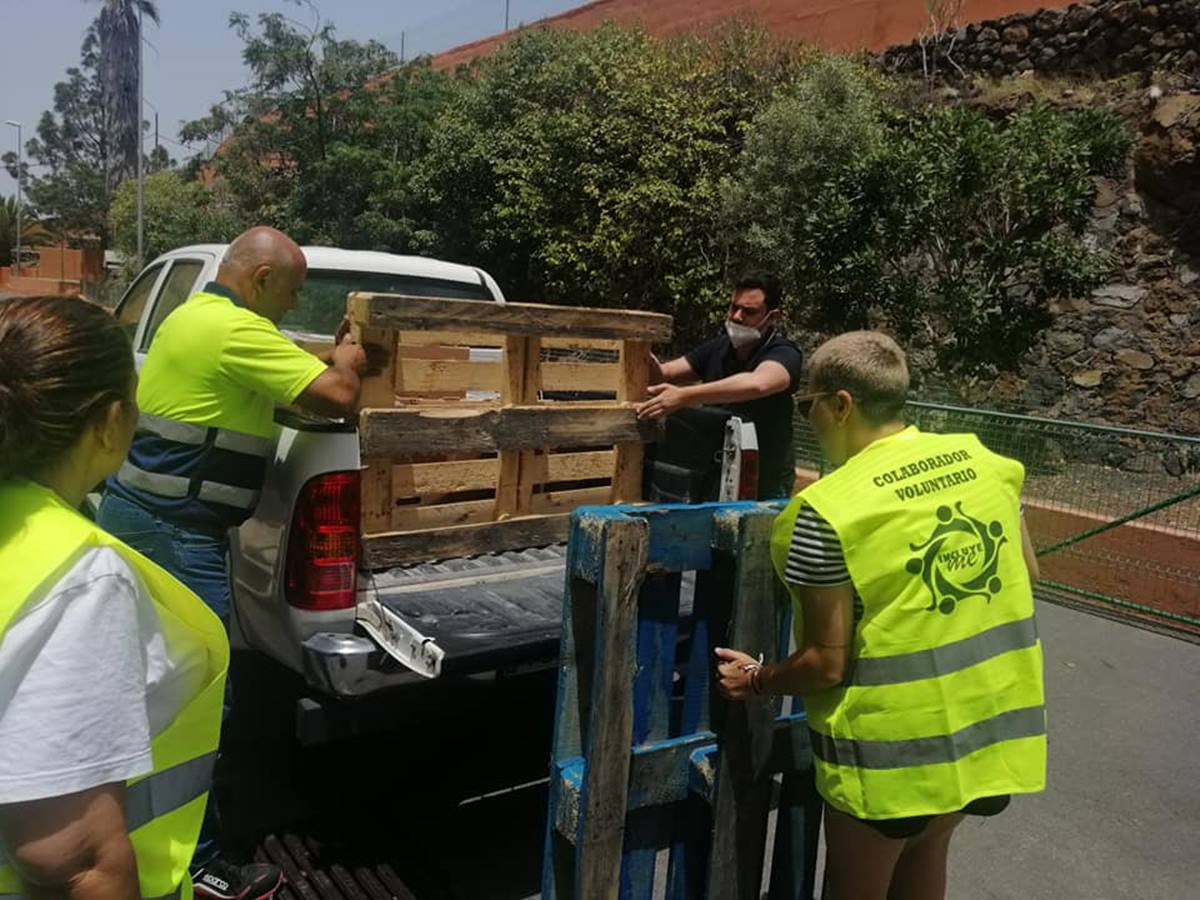 Distintas ONG han estado implicadas en la distribución de productos. DA