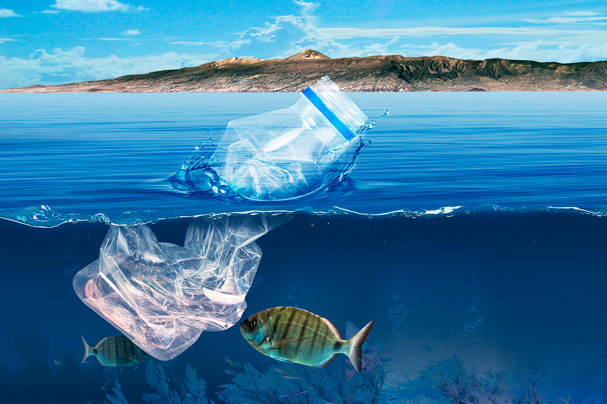 FUNDACIÓN DA PROYECTO MICROPLÁSTICOS CANARIAS