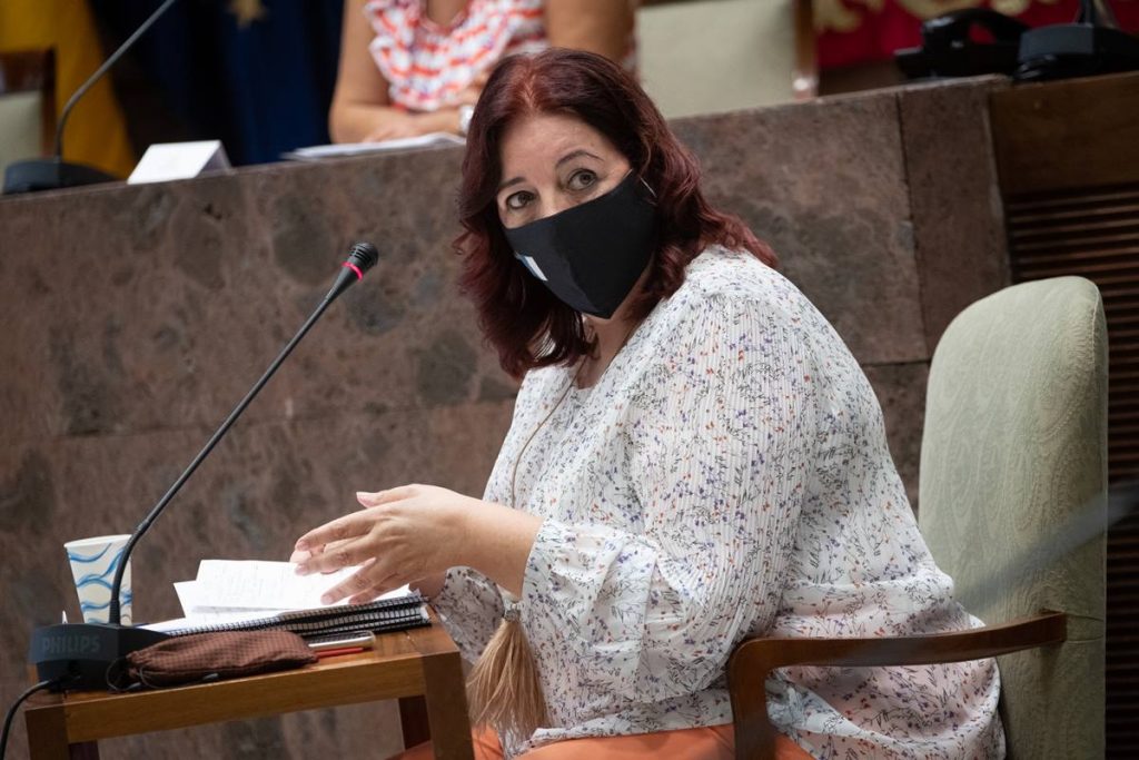 La consejera Manuela Armas, en la Comisión de Educación, Universidades, Cultura y Deportes del Parlamento de Canarias. Fran Pallero