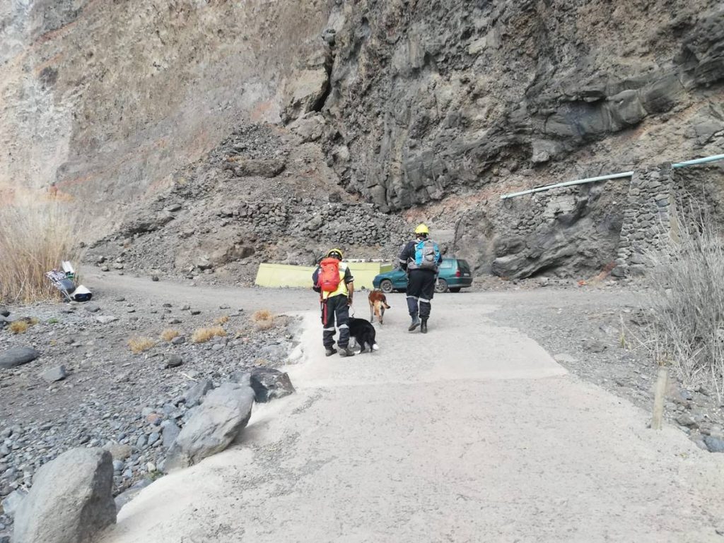 La Unidad Canina de Salvamento continúa la búsqueda de posibles víctimas del derrumbe en Argaga (La Gomera). Ayuntamiento de Valle Gran Rey