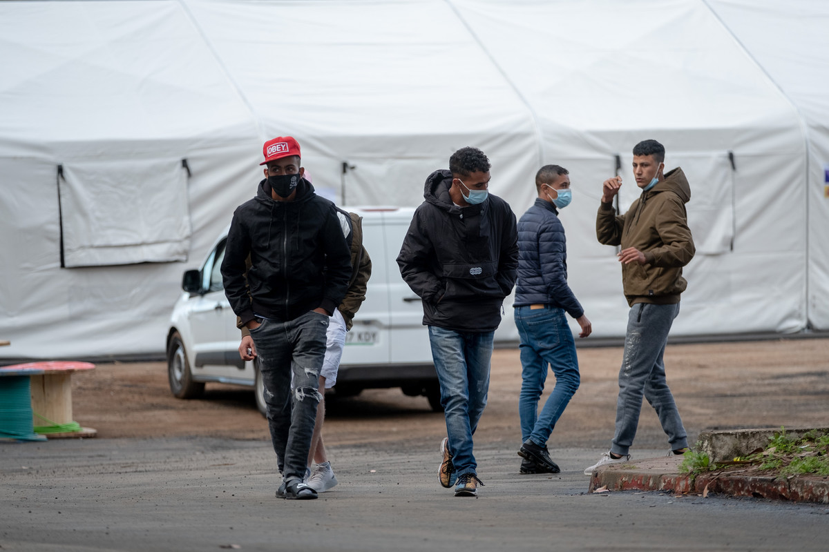 Inmigrantes Las Raíces