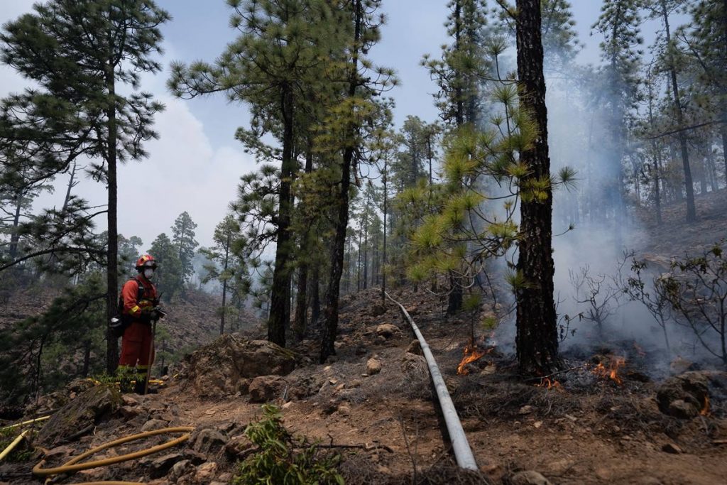 El Cabildo activa todas las alarmas: riesgo por incendios en Tenerife