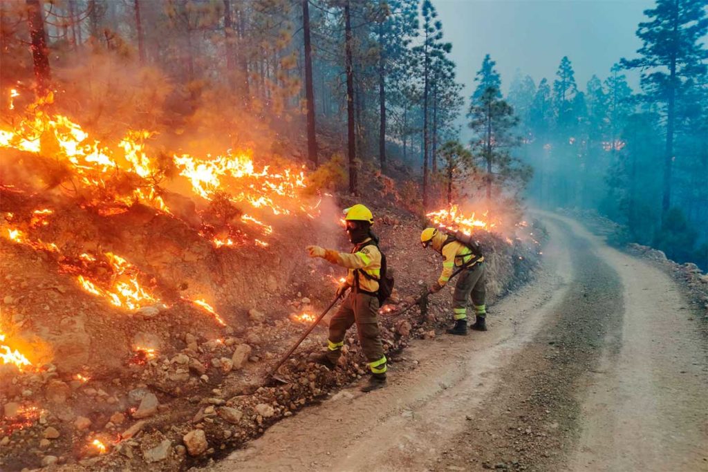 Alerta máxima por riesgo de incendios en Canarias