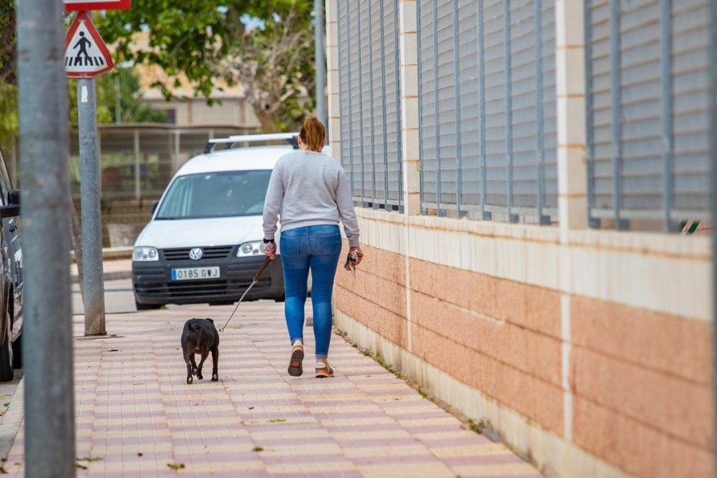 Una mujer pasea a su perro. EP