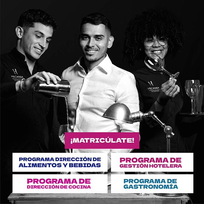 PROFESIONAL SALA HECANSA
