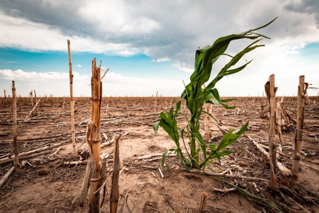 El cambio climático ya es irremediable, según la ONU