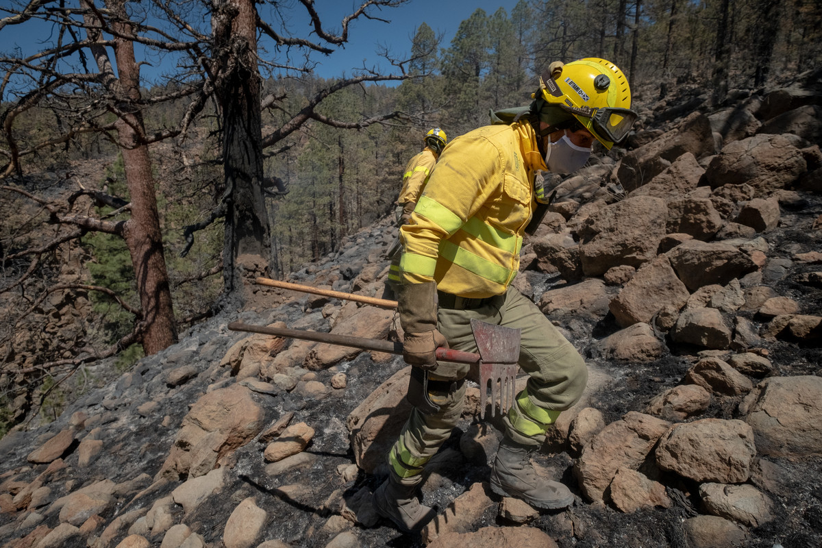 Dan por extinguido el conato de incendio forestal en El Rosario