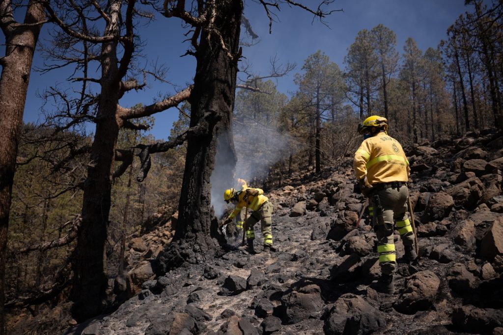 El fuego afectó este verano a 3.000 hectáreas de monte en Tenerife