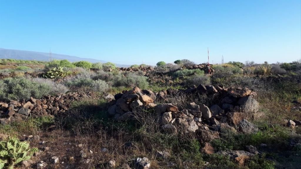 Los expertos definen Los Llanos de Ifara como un lugar “muy representativo” del poblamiento y de la organización socioeconómica aborigen en el Sur. DA