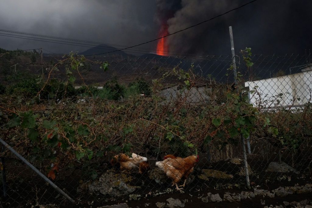La cantidad permitirá compensar a los titulares de explotaciones agrícolas o ganaderas que carezcan de cobertura extraordinaria en sus seguros.