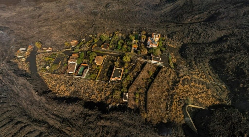 Leales.org confirma otro Kipuka con animales atrapados en La Palma. Leales.org