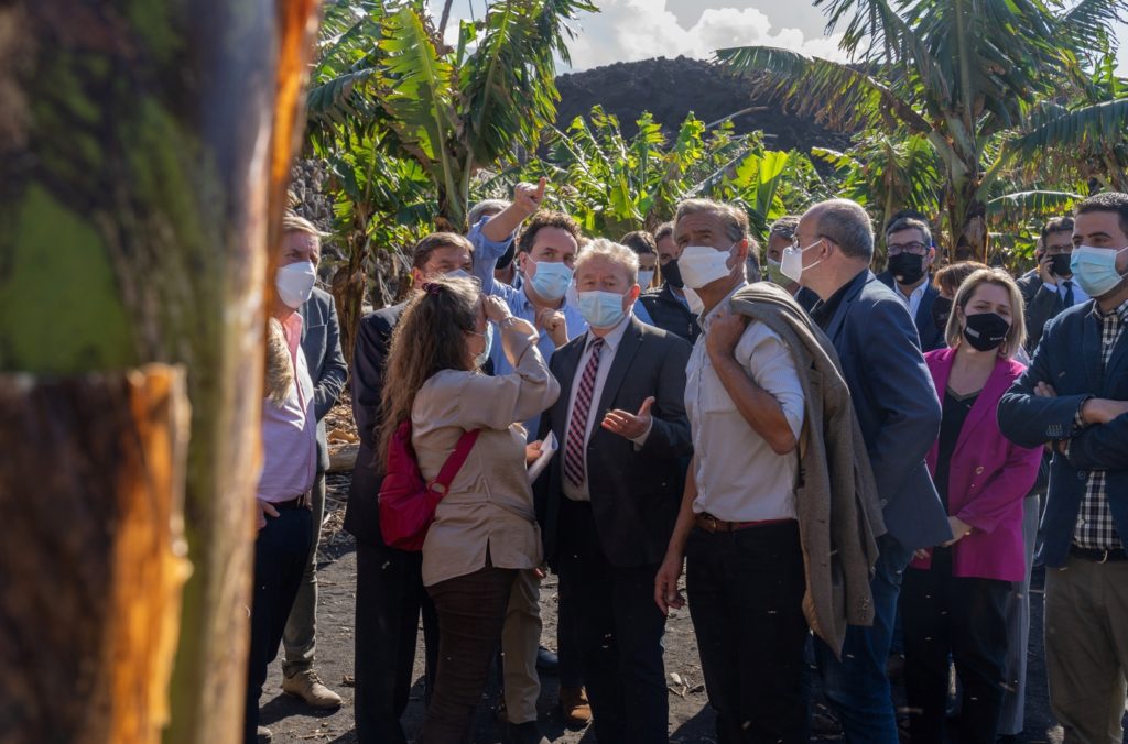 Fincas que están junto a metros de lava en las que se pretende recuperar la producción platanera. Acfi Press