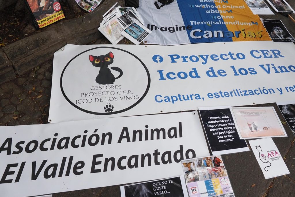 Peleas-de-perros-en-Tenerife-2