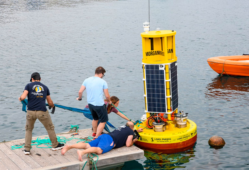 Loro Parque Fundación investiga los paisajes sonoros submarinos de Canarias