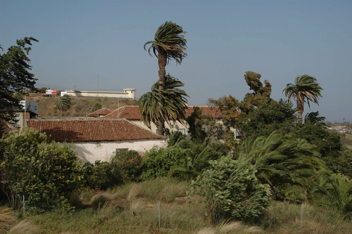 Viento fuerte en Canarias