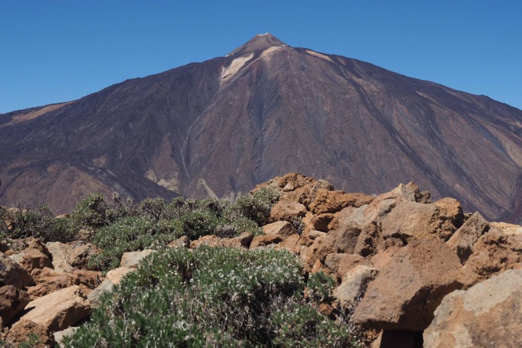 El Teide se tropicaliza con la subida de la temperatura media
