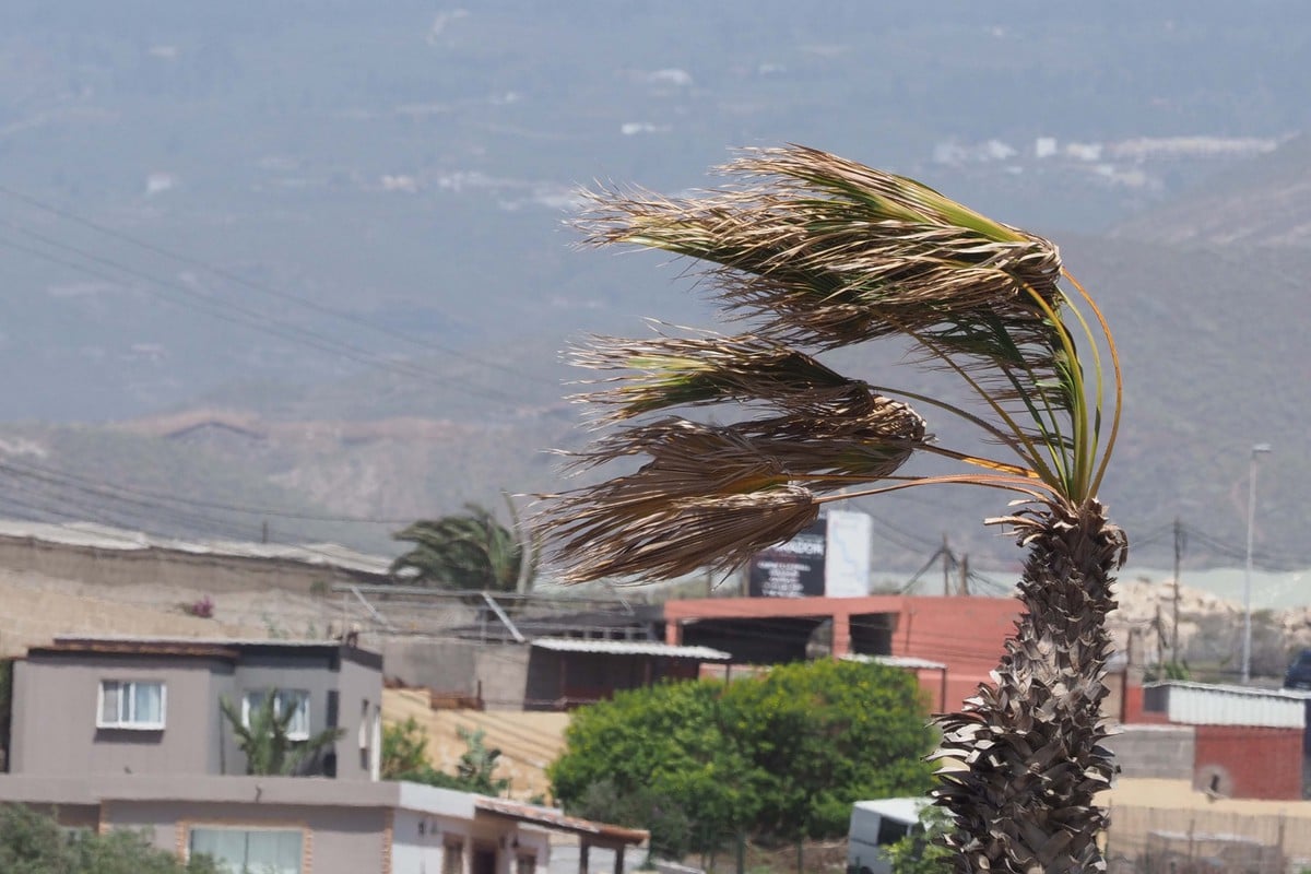 La Aemet activa en parte de Tenerife el aviso por vientos de hasta 100 km/h