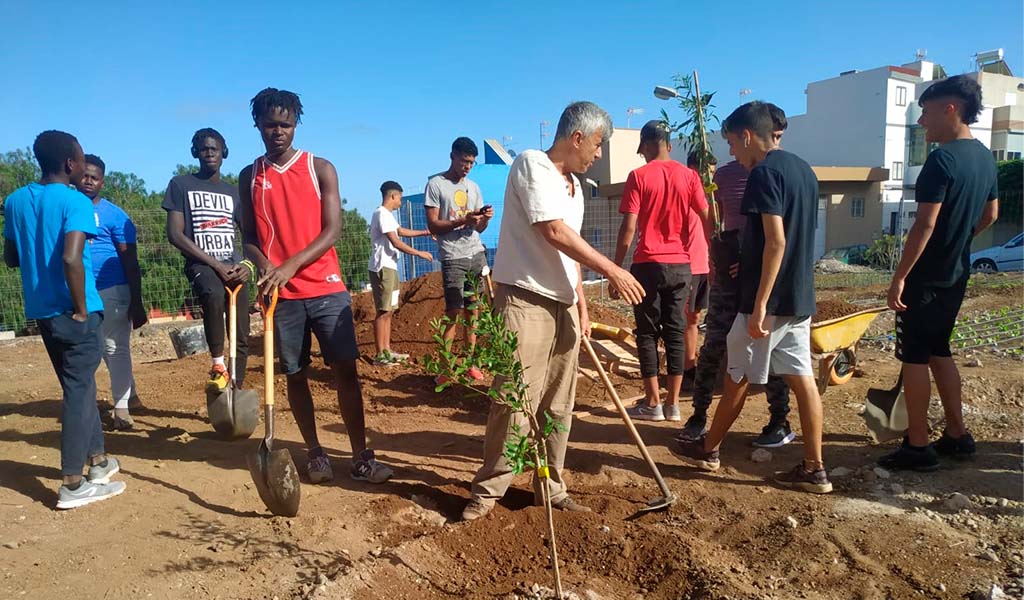 la asociación giro en el huerto urbano de El Sobradillo