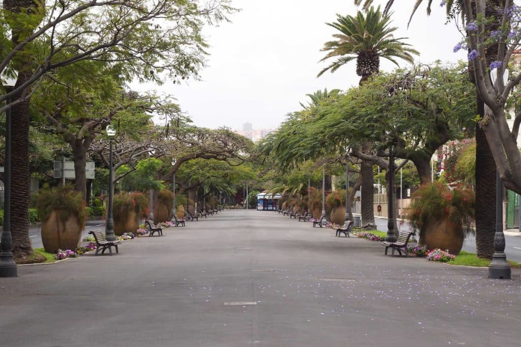 Comienzan hoy las obras para dar continuidad peatonal a la zona de las Ramblas
