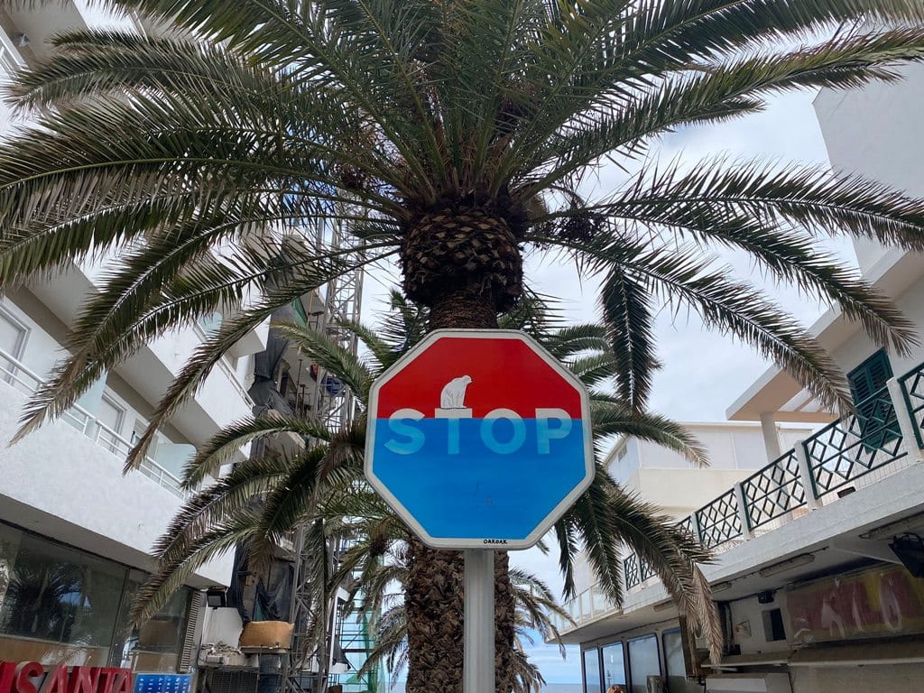Un oso polar en una señal de STOP en el Puerto de la Cruz