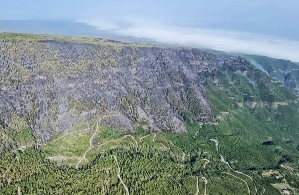 La terrible herida que ha dejado el incendio en Tenerife