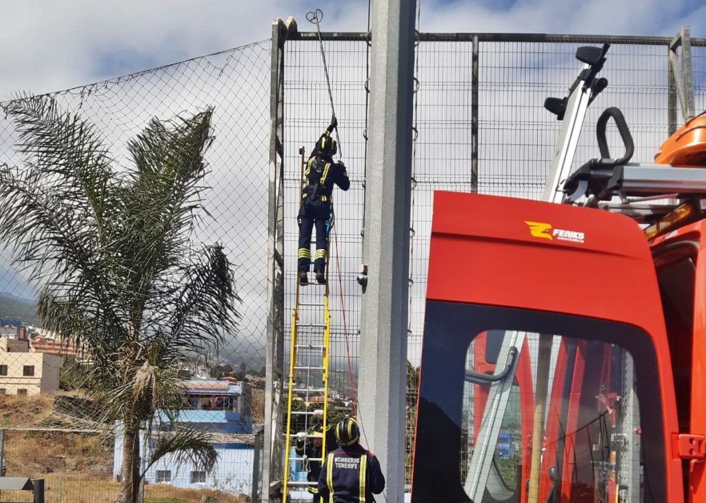 Rescate gatuno