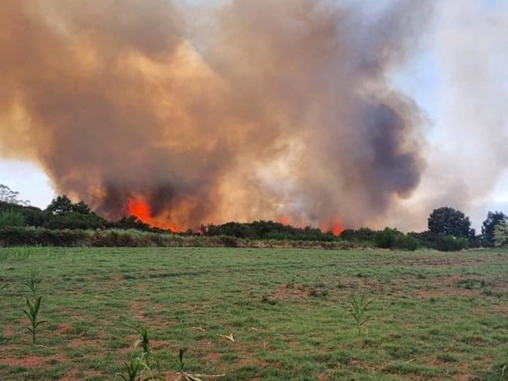 El incendio de La Esperanza y La Laguna, en vías de ser estabilizado
