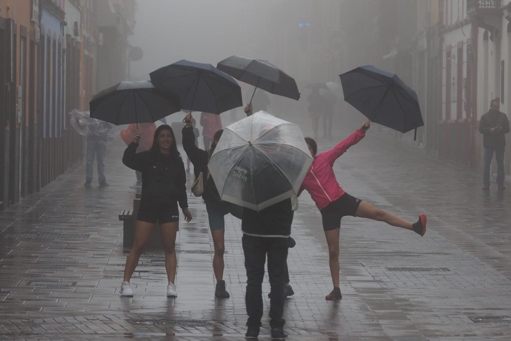 Vuelos cancelados, caídas de árboles y carreteras cortadas: las imágenes de Hermine en Canarias