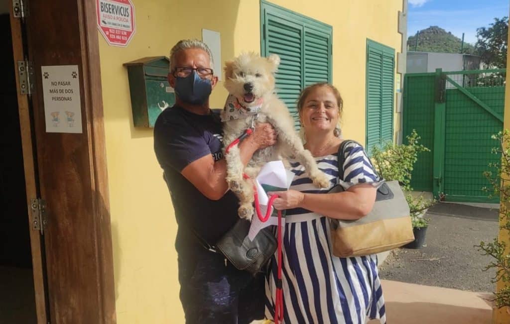Klota, la perrita que buscaba un nuevo hogar en Valle Colino, ya tiene nueva familia