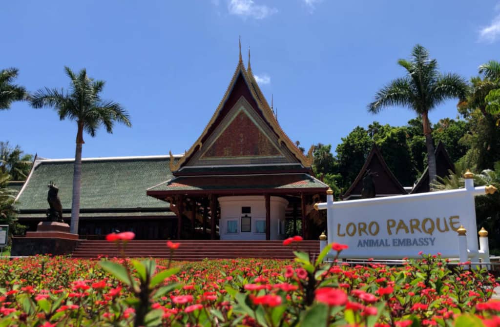 Loro Parque, epicentro mundial de la conservación del mundo animal