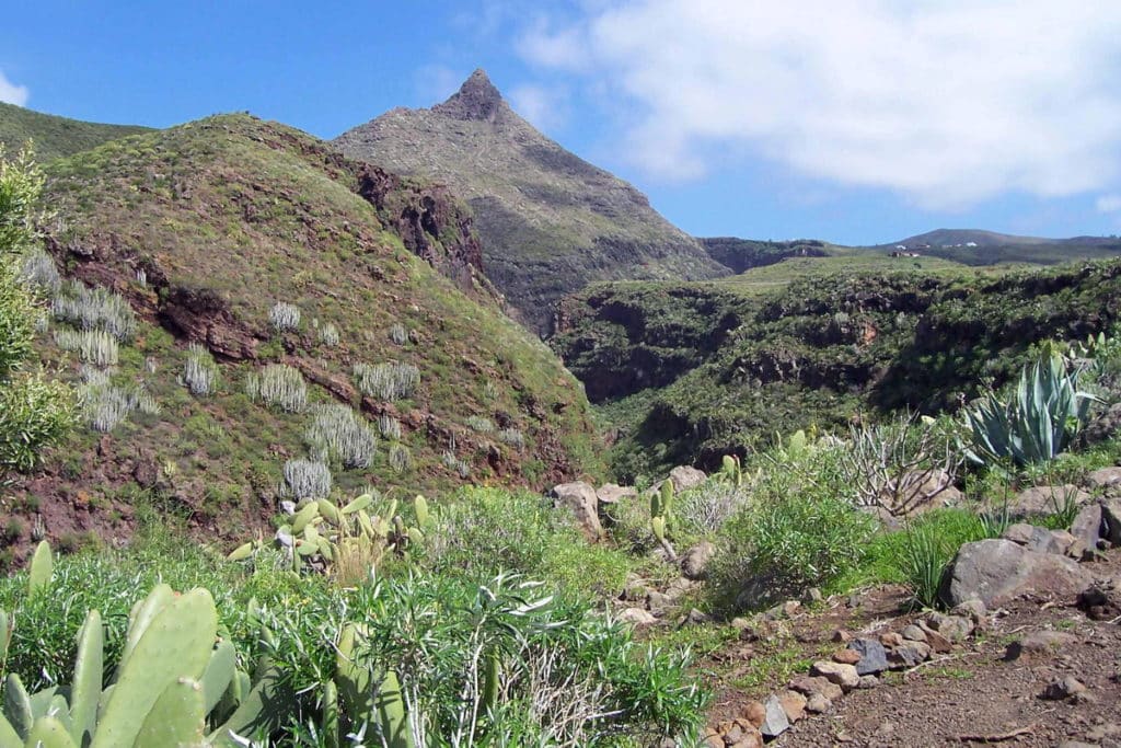 barranco del Rey