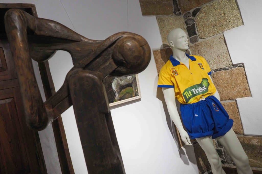 Exposición Multidisciplinar denominada Lucha Canaria: arte y querencia. Sergio Méndez