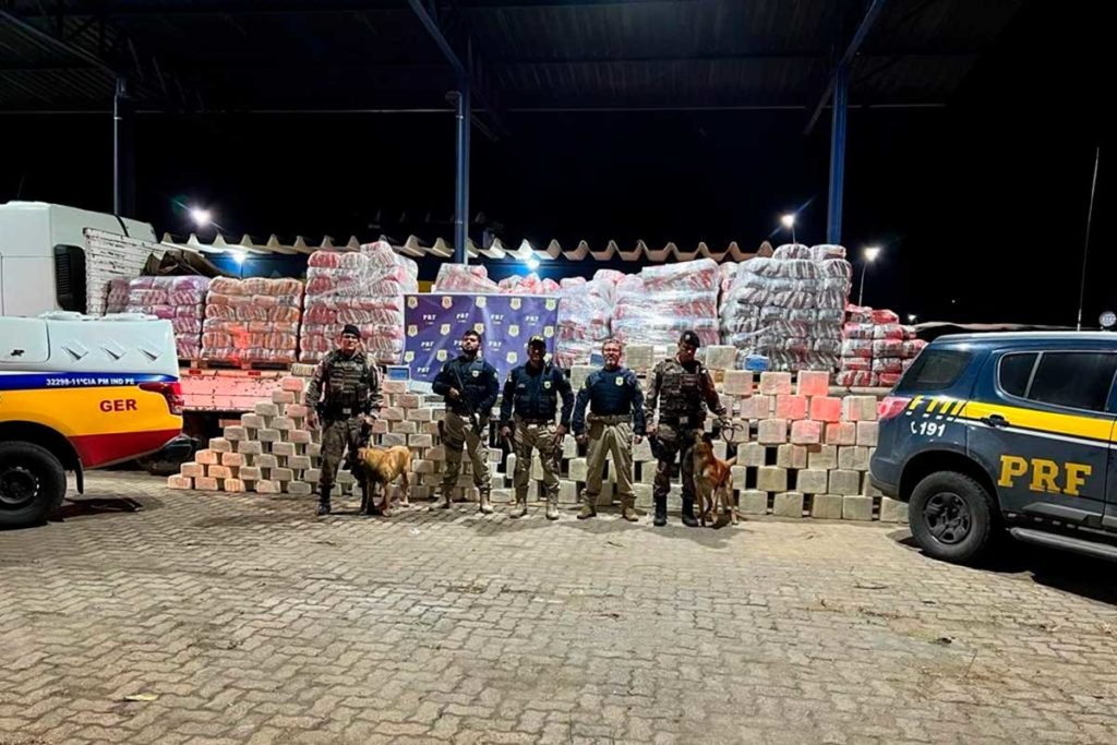 Hallada una tonelada de cocaína oculta en arena para gatos en Brasil
