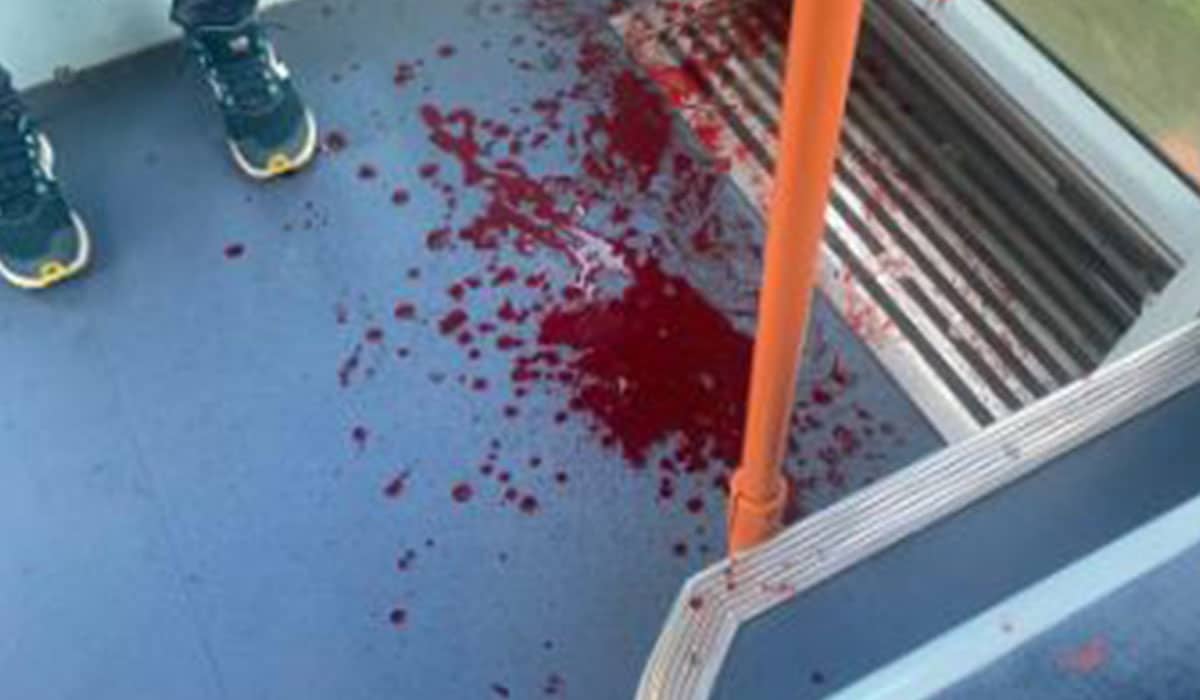 "Es un bulo": desmienten "actos violentos" en el Tranvía de Tenerife