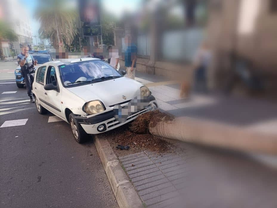 Choca contra una palmera en Las Palmas y huye del vehículo por carecer de carné