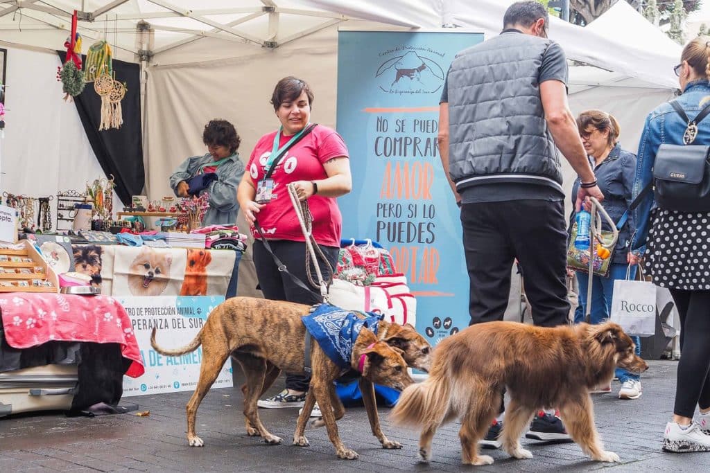 La Laguna defiende los derechos de los animales. | Sergio Méndez