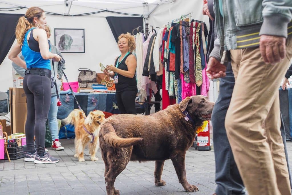 La Laguna defiende los derechos de los animales. | Sergio Méndez
