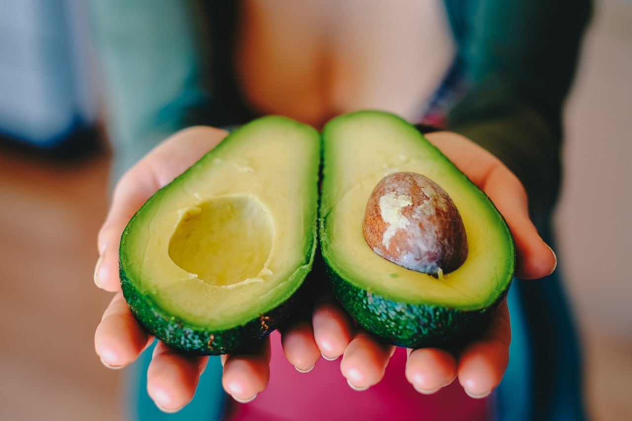 aguacate en Canarias